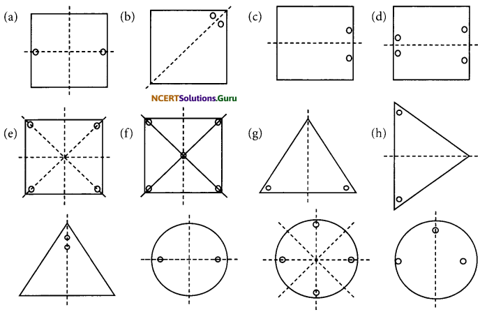 NCERT Solutions for Class 7 Maths Chapter 14 Symmetry Ex 14.1 1
