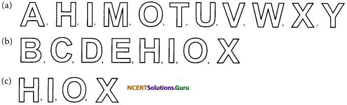 NCERT Solutions for Class 7 Maths Chapter 14 Symmetry Ex 14.1 11