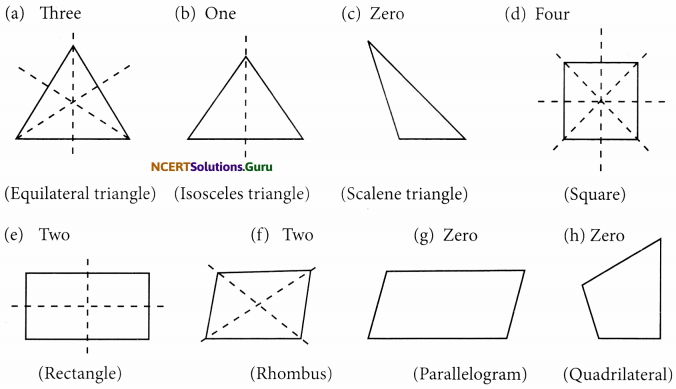 NCERT Solutions for Class 7 Maths Chapter 14 Symmetry Ex 14.1 9