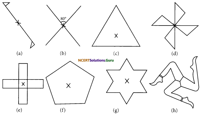 NCERT Solutions for Class 7 Maths Chapter 14 Symmetry Ex 14.2 2