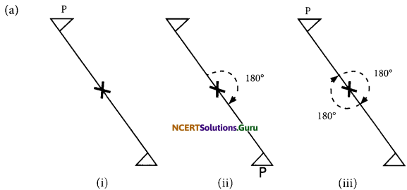 NCERT Solutions for Class 7 Maths Chapter 14 Symmetry Ex 14.2 3