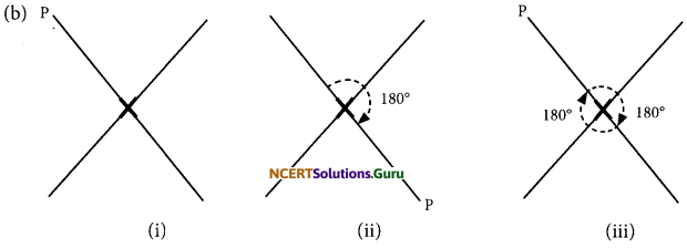 NCERT Solutions for Class 7 Maths Chapter 14 Symmetry Ex 14.2 4