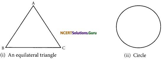 NCERT Solutions for Class 7 Maths Chapter 14 Symmetry Ex 14.3 1