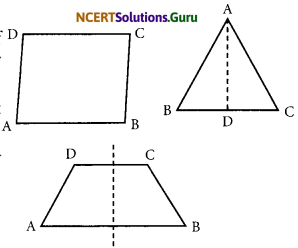 NCERT Solutions for Class 7 Maths Chapter 14 Symmetry Ex 14.3 3