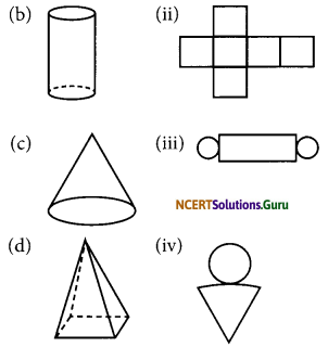 NCERT Solutions for Class 7 Maths Chapter 15 Visualising Solid Shapes Ex 15.1 10