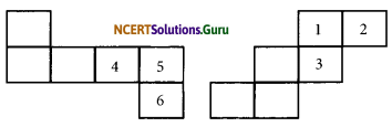 NCERT Solutions for Class 7 Maths Chapter 15 Visualising Solid Shapes Ex 15.1 4