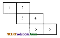 NCERT Solutions for Class 7 Maths Chapter 15 Visualising Solid Shapes Ex 15.1 6