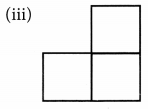NCERT Solutions for Class 7 Maths Chapter 15 Visualising Solid Shapes InText Questions 11