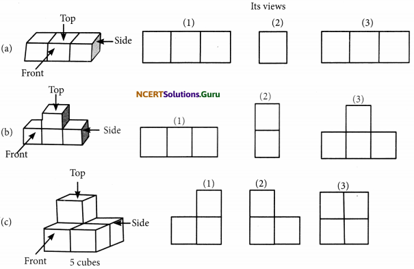 NCERT Solutions for Class 7 Maths Chapter 15 Visualising Solid Shapes InText Questions 7