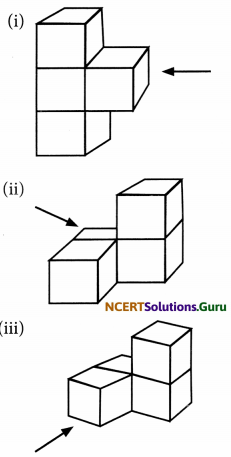 NCERT Solutions for Class 7 Maths Chapter 15 Visualising Solid Shapes InText Questions 9