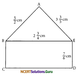NCERT Solutions for Class 7 Maths Chapter 2 Fractions and Decimals Ex 2.1 8