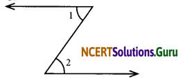 NCERT Solutions for Class 7 Maths Chapter 5 Lines and Angles Ex 5.1 7