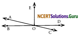 NCERT Solutions for Class 7 Maths Chapter 5 Lines and Angles Ex 5.1 9