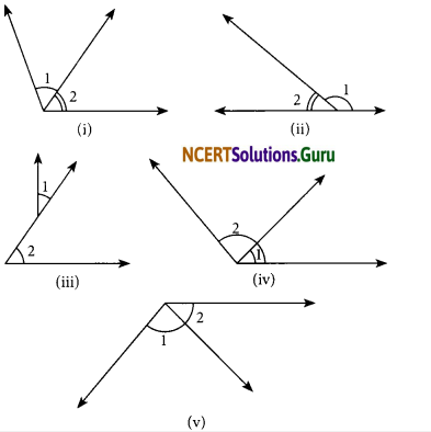 NCERT Solutions for Class 7 Maths Chapter 5 Lines and Angles InText Questions 4