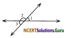 NCERT Solutions for Class 7 Maths Chapter 5 Lines and Angles InText Questions 7