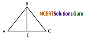 NCERT Solutions for Class 7 Maths Chapter 6 The Triangles and Its Properties Ex 6.1 2