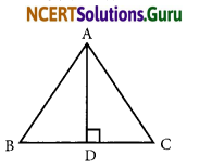 NCERT Solutions for Class 7 Maths Chapter 6 The Triangles and Its Properties Ex 6.1 5