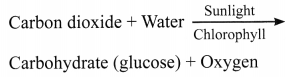 NCERT Solutions for Class 7 Science Chapter 1 Nutrition in Plants 1