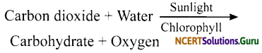 NCERT Solutions for Class 7 Science Chapter 1 Nutrition in Plants 12