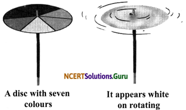 NCERT Solutions for Class 7 Science Chapter 15 Light 12