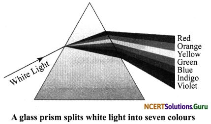 NCERT Solutions for Class 7 Science Chapter 15 Light 8