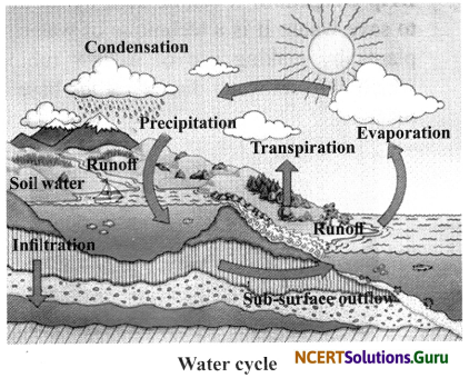 NCERT Solutions for Class 7 Science Chapter 16 Water A Precious Resource 3