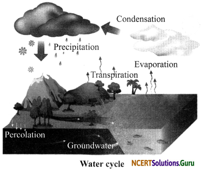 NCERT Solutions for Class 7 Science Chapter 16 Water A Precious Resource 8