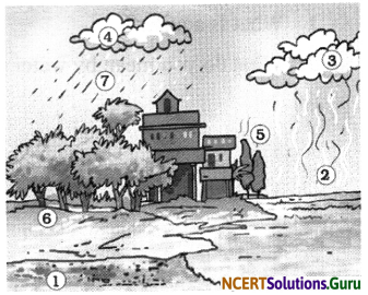 NCERT Solutions for Class 7 Science Chapter 16 Water A Precious Resource 9