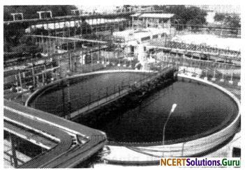 NCERT Solutions for Class 7 Science Chapter 18 Wastewater Story 7