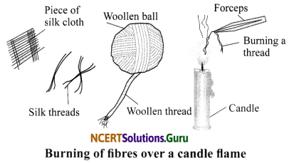 NCERT Solutions for Class 7 Science Chapter 3 Fibre to Fabric 3