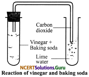 NCERT Solutions for Class 7 Science Chapter 6 Physical and Chemical Changes 7