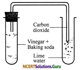 NCERT Solutions for Class 7 Science Chapter 6 Physical and Chemical Changes 8
