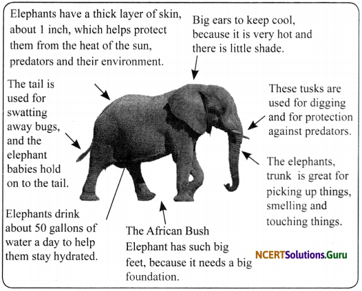NCERT Solutions for Class 7 Science Chapter 7 Weather, Climate and Adaptations of Animals of Climate 1