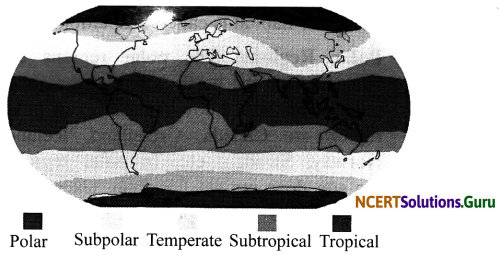 NCERT Solutions for Class 7 Science Chapter 7 Weather, Climate and Adaptations of Animals of Climate 2