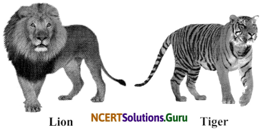 NCERT Solutions for Class 7 Science Chapter 7 Weather, Climate and Adaptations of Animals of Climate 4