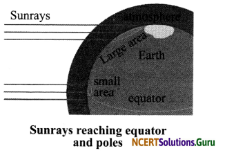 NCERT Solutions for Class 7 Science Chapter 7 Weather, Climate and Adaptations of Animals of Climate 6