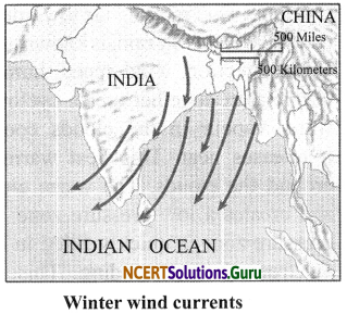 NCERT Solutions for Class 7 Science Chapter 8 Winds, Storms and Cyclones 10