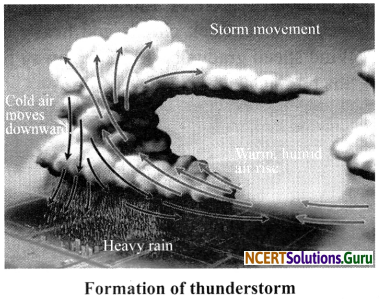 NCERT Solutions for Class 7 Science Chapter 8 Winds, Storms and Cyclones 11
