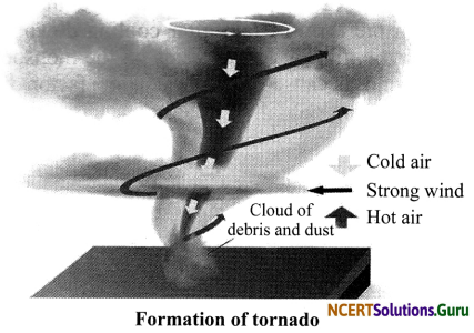 NCERT Solutions for Class 7 Science Chapter 8 Winds, Storms and Cyclones 13