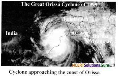 NCERT Solutions for Class 7 Science Chapter 8 Winds, Storms and Cyclones 19