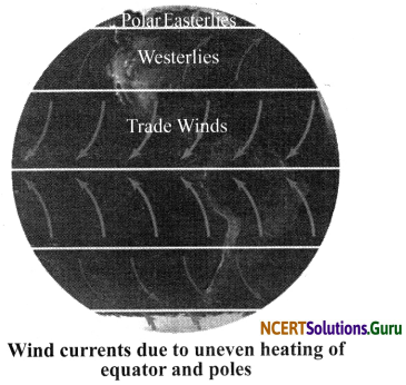 NCERT Solutions for Class 7 Science Chapter 8 Winds, Storms and Cyclones 8
