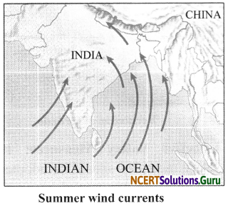 NCERT Solutions for Class 7 Science Chapter 8 Winds, Storms and Cyclones 9