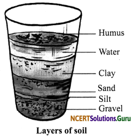 NCERT Solutions for Class 7 Science Chapter 9 Soil 3