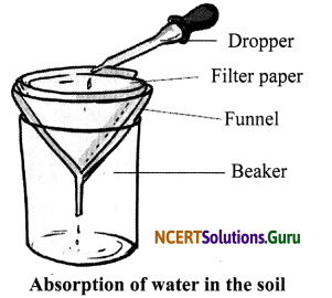NCERT Solutions for Class 7 Science Chapter 9 Soil 5