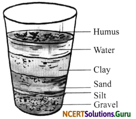 NCERT Solutions for Class 7 Science Chapter 9 Soil 8