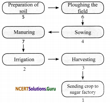 NCERT Solutions for Class 8 Science Chapter 1 Crop Production and Management 2