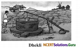 NCERT Solutions for Class 8 Science Chapter 1 Crop Production and Management 7