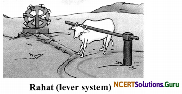NCERT Solutions for Class 8 Science Chapter 1 Crop Production and Management 8