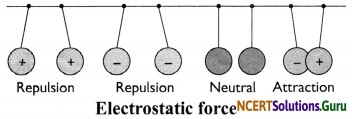 NCERT Solutions for Class 8 Science Chapter 11 Force and Pressure 10