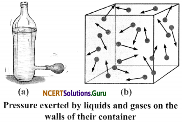NCERT Solutions for Class 8 Science Chapter 11 Force and Pressure 4